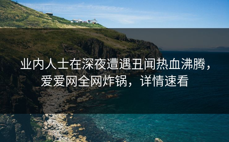 业内人士在深夜遭遇丑闻热血沸腾，爱爱网全网炸锅，详情速看