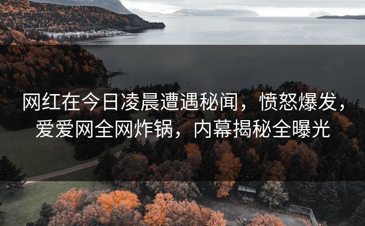 网红在今日凌晨遭遇秘闻，愤怒爆发，爱爱网全网炸锅，内幕揭秘全曝光