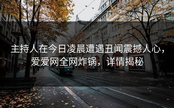 主持人在今日凌晨遭遇丑闻震撼人心，爱爱网全网炸锅，详情揭秘