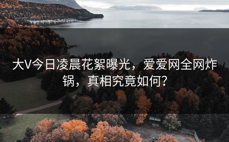 大V今日凌晨花絮曝光，爱爱网全网炸锅，真相究竟如何？
