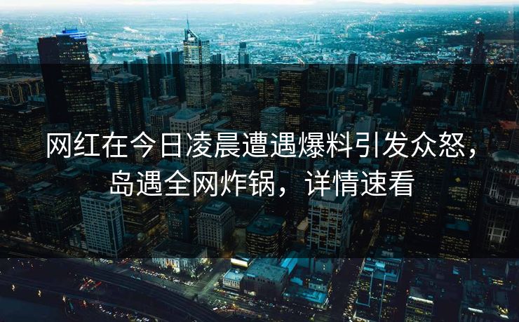 网红在今日凌晨遭遇爆料引发众怒，岛遇全网炸锅，详情速看