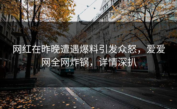 网红在昨晚遭遇爆料引发众怒，爱爱网全网炸锅，详情深扒
