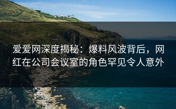 爱爱网深度揭秘：爆料风波背后，网红在公司会议室的角色罕见令人意外