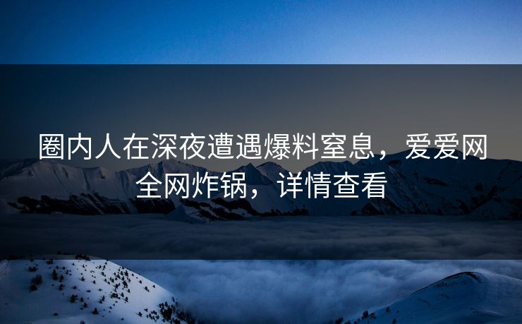 圈内人在深夜遭遇爆料窒息，爱爱网全网炸锅，详情查看