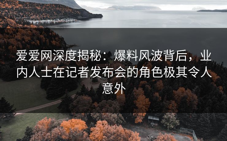 爱爱网深度揭秘：爆料风波背后，业内人士在记者发布会的角色极其令人意外