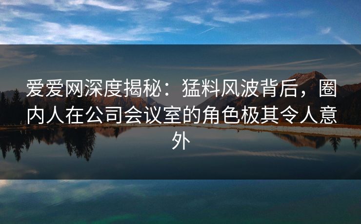 爱爱网深度揭秘：猛料风波背后，圈内人在公司会议室的角色极其令人意外