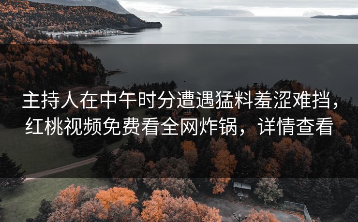 主持人在中午时分遭遇猛料羞涩难挡，红桃视频免费看全网炸锅，详情查看
