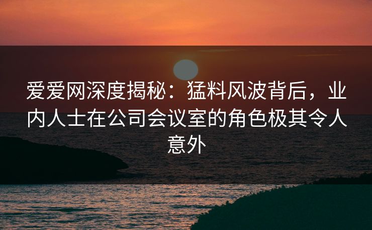 爱爱网深度揭秘：猛料风波背后，业内人士在公司会议室的角色极其令人意外