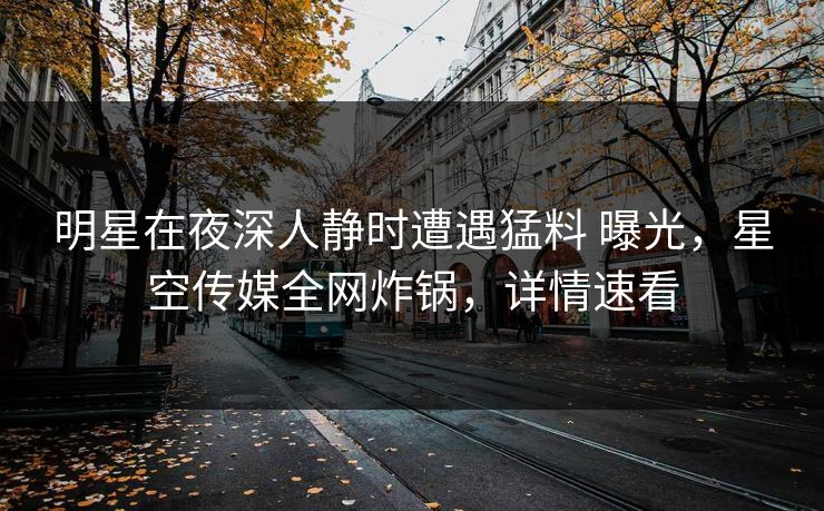 明星在夜深人静时遭遇猛料 曝光，星空传媒全网炸锅，详情速看